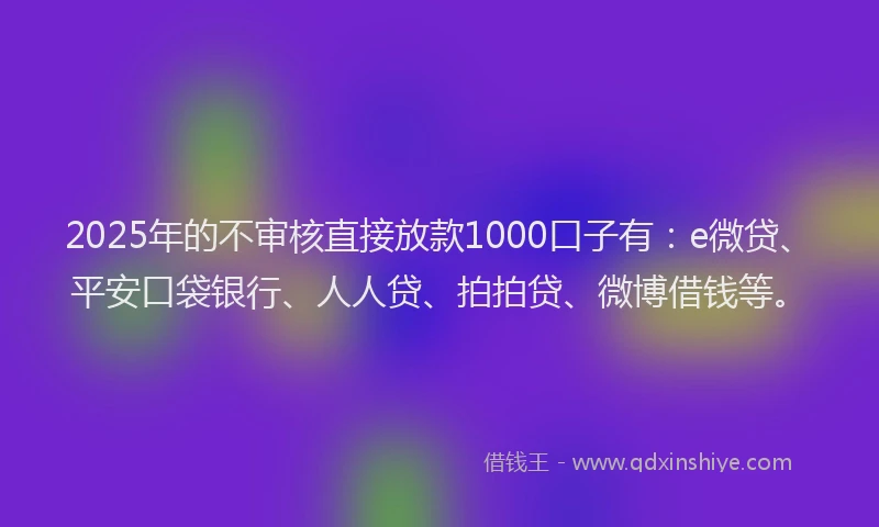 2025年的不审核直接放款1000口子有：e微贷、平安口袋银行、人人贷、拍拍贷、微博借钱等。