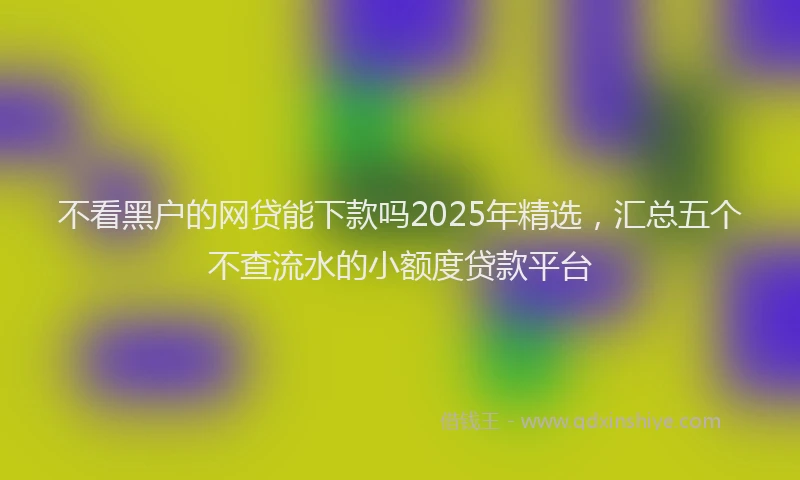 不看黑户的网贷能下款吗2025年精选，汇总五个不查流水的小额度贷款平台