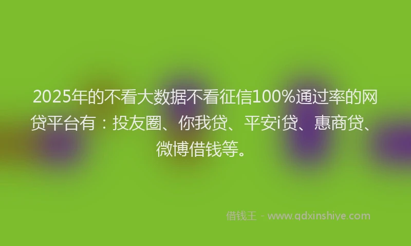 2025年的不看大数据不看征信100%通过率的网贷平台有：投友圈、你我贷、平安i贷、惠商贷、微博借钱等。