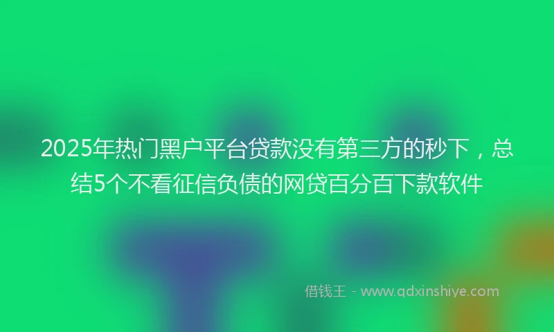 2025年热门黑户平台贷款没有第三方的秒下，总结5个不看征信负债的网贷百分百下款软件