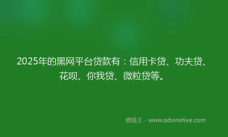 2025年的黑网平台贷款有：信用卡贷、功夫贷、花呗、你我贷、微粒贷等。