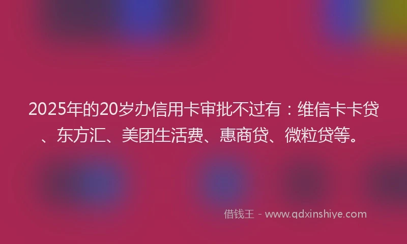 2025年的20岁办信用卡审批不过有：维信卡卡贷、东方汇、美团生活费、惠商贷、微粒贷等。