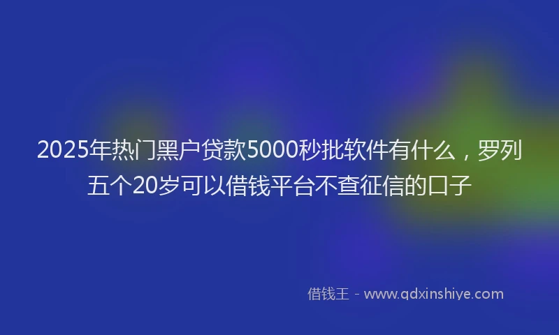 2025年热门黑户贷款5000秒批软件有什么，罗列五个20岁可以借钱平台不查征信的口子