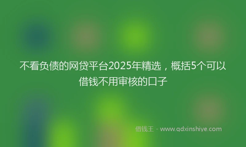 不看负债的网贷平台2025年精选，概括5个可以借钱不用审核的口子