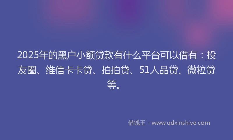 2025年的黑户小额贷款有什么平台可以借有：投友圈、维信卡卡贷、拍拍贷、51人品贷、微粒贷等。