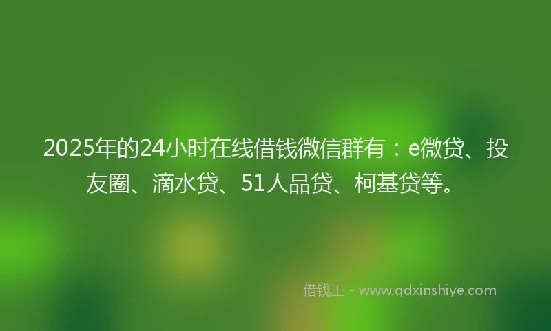 2025年的24小时在线借钱微信群有：e微贷、投友圈、滴水贷、51人品贷、柯基贷等。