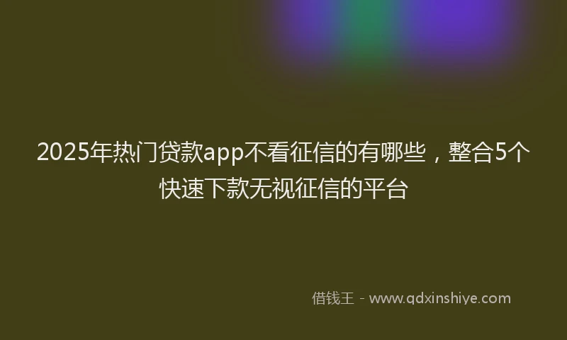 2025年热门贷款app不看征信的有哪些，整合5个快速下款无视征信的平台