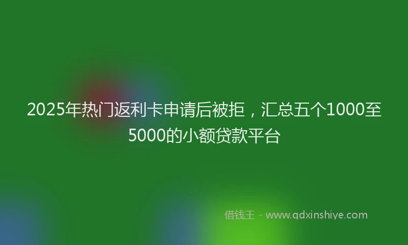 2025年热门返利卡申请后被拒，汇总五个1000至5000的小额贷款平台