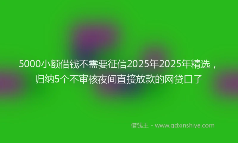 5000小额借钱不需要征信2025年2025年精选，归纳5个不审核夜间直接放款的网贷口子