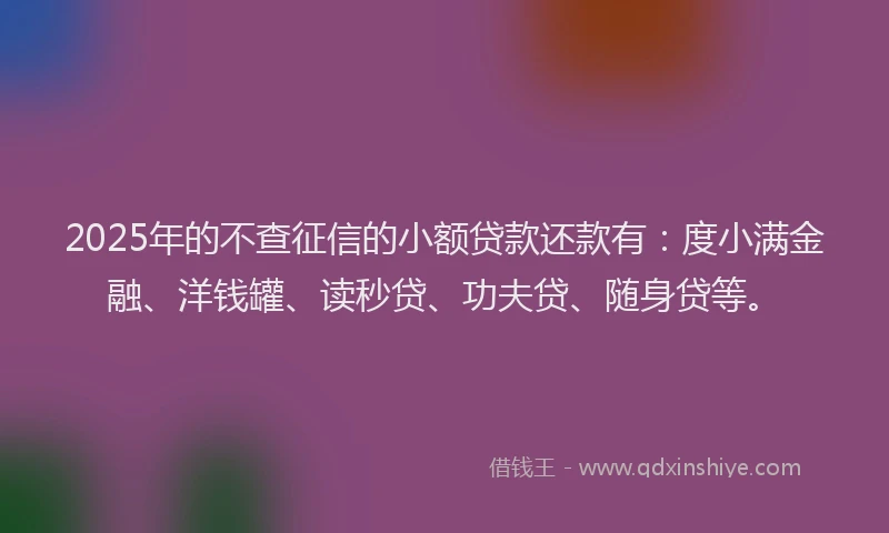 2025年的不查征信的小额贷款还款有：度小满金融、洋钱罐、读秒贷、功夫贷、随身贷等。
