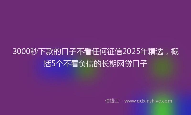 3000秒下款的口子不看任何征信2025年精选，概括5个不看负债的长期网贷口子