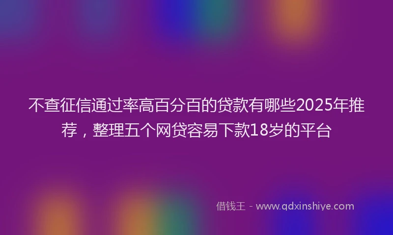 不查征信通过率高百分百的贷款有哪些2025年推荐，整理五个网贷容易下款18岁的平台