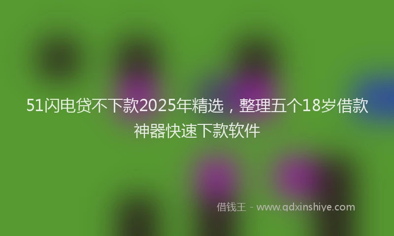 51闪电贷不下款2025年精选，整理五个18岁借款神器快速下款软件
