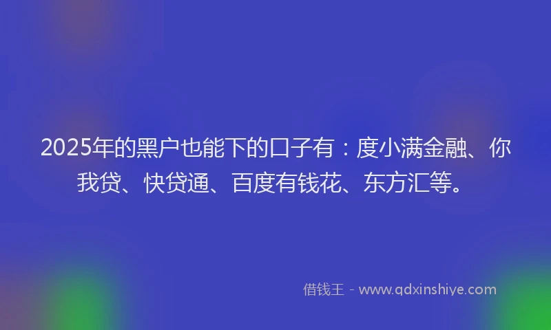2025年的黑户也能下的口子有：度小满金融、你我贷、快贷通、百度有钱花、东方汇等。