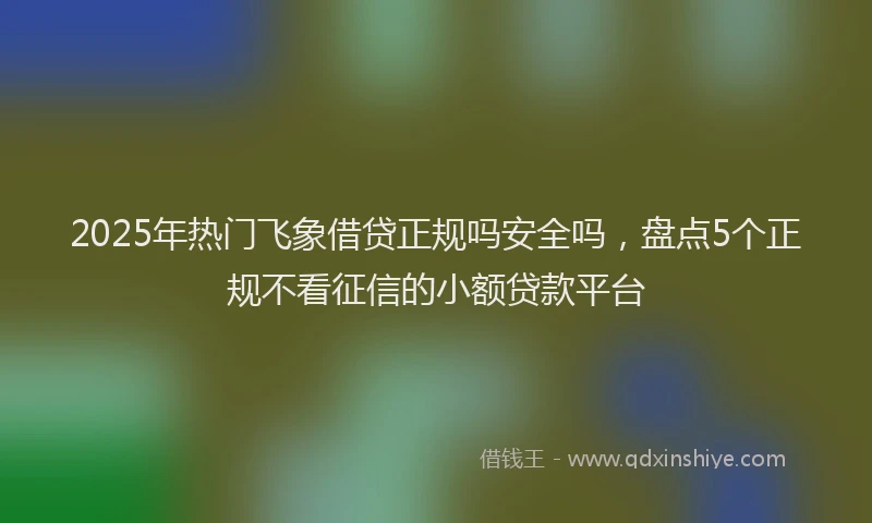 2025年热门飞象借贷正规吗安全吗，盘点5个正规不看征信的小额贷款平台