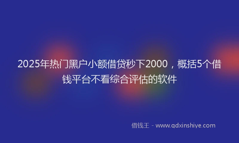 2025年热门黑户小额借贷秒下2000，概括5个借钱平台不看综合评估的软件