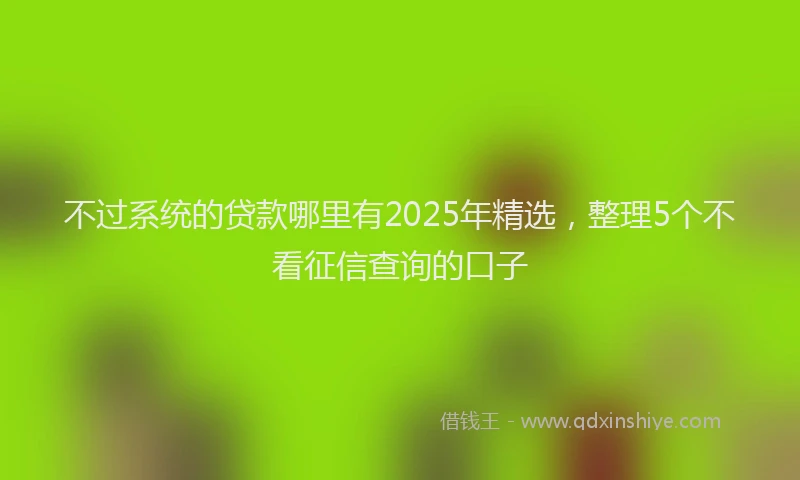 不过系统的贷款哪里有2025年精选，整理5个不看征信查询的口子