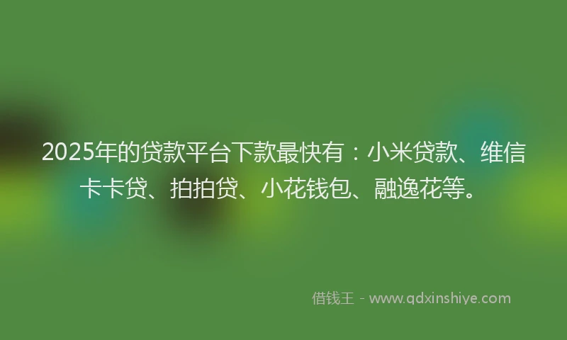 2025年的贷款平台下款最快有：小米贷款、维信卡卡贷、拍拍贷、小花钱包、融逸花等。