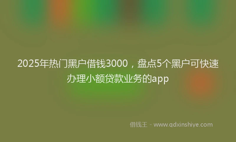 2025年热门黑户借钱3000，盘点5个黑户可快速办理小额贷款业务的app