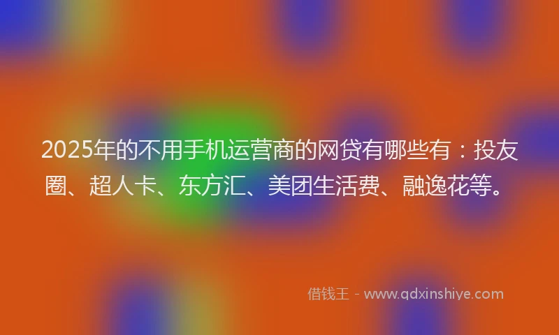 2025年的不用手机运营商的网贷有哪些有：投友圈、超人卡、东方汇、美团生活费、融逸花等。