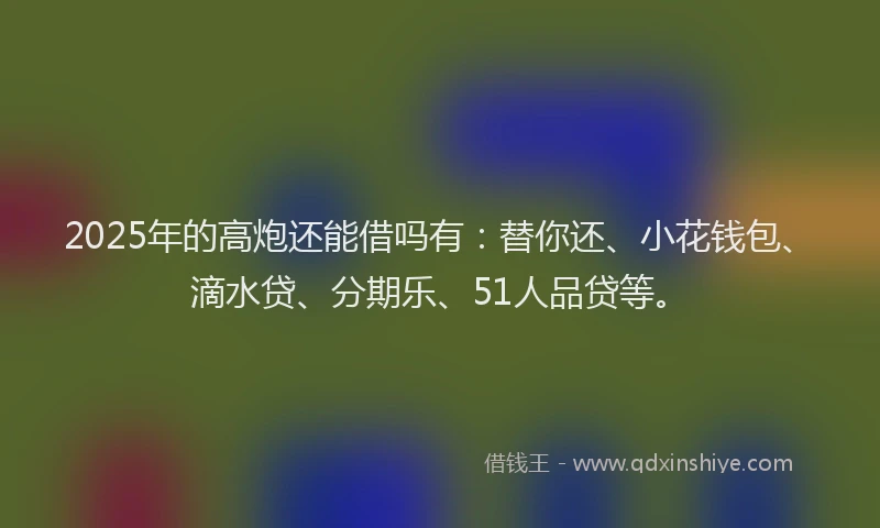 2025年的高炮还能借吗有：替你还、小花钱包、滴水贷、分期乐、51人品贷等。