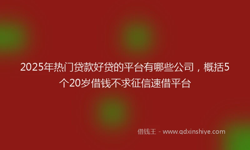 2025年热门贷款好贷的平台有哪些公司，概括5个20岁借钱不求征信速借平台