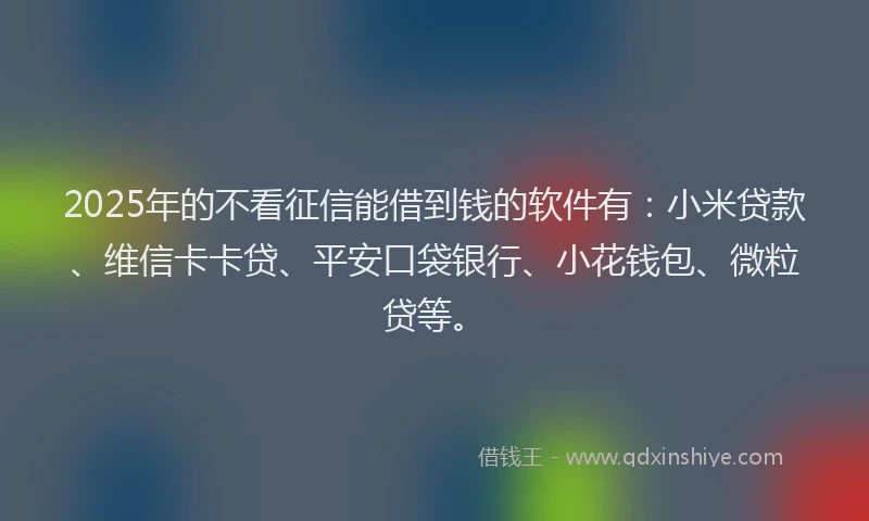 2025年的不看征信能借到钱的软件有：小米贷款、维信卡卡贷、平安口袋银行、小花钱包、微粒贷等。