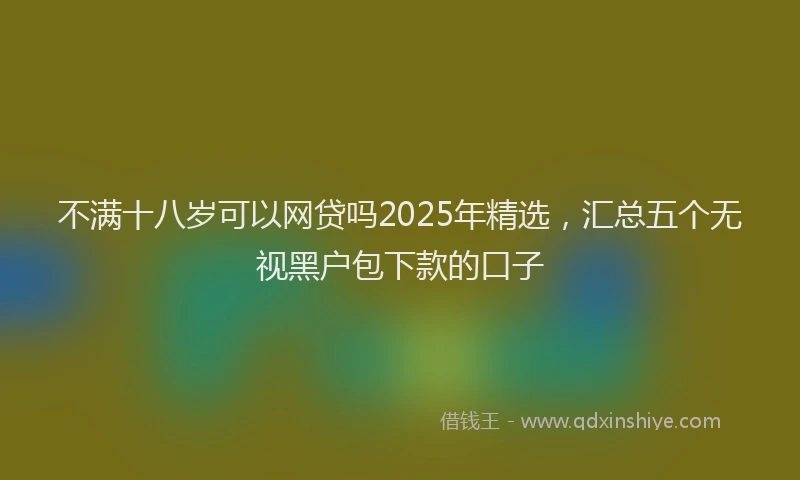 不满十八岁可以网贷吗2025年精选，汇总五个无视黑户包下款的口子