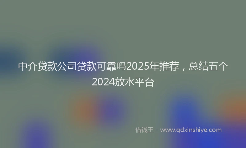 中介贷款公司贷款可靠吗2025年推荐，总结五个2024放水平台