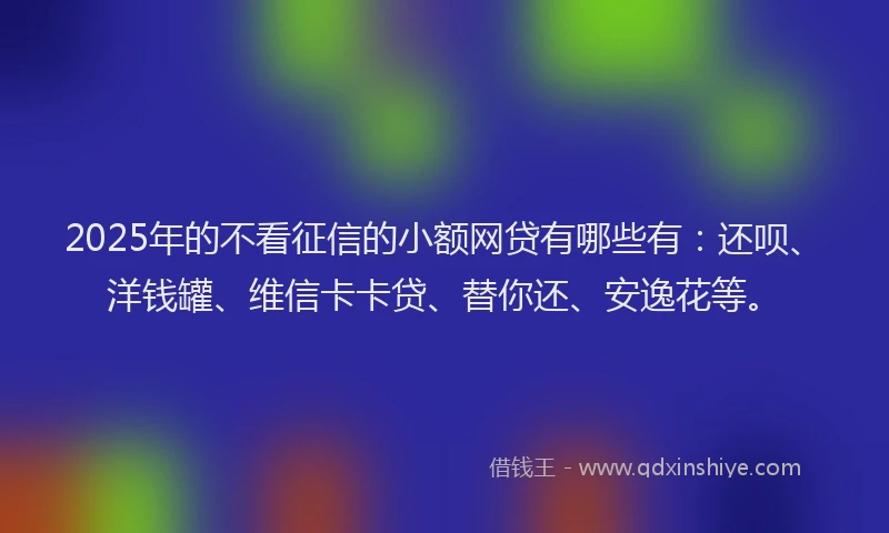 2025年的不看征信的小额网贷有哪些有：还呗、洋钱罐、维信卡卡贷、替你还、安逸花等。