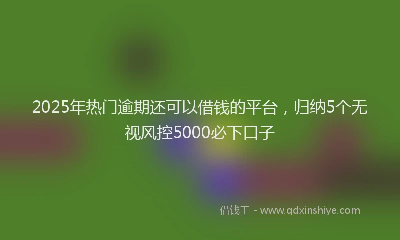 2025年热门逾期还可以借钱的平台，归纳5个无视风控5000必下口子