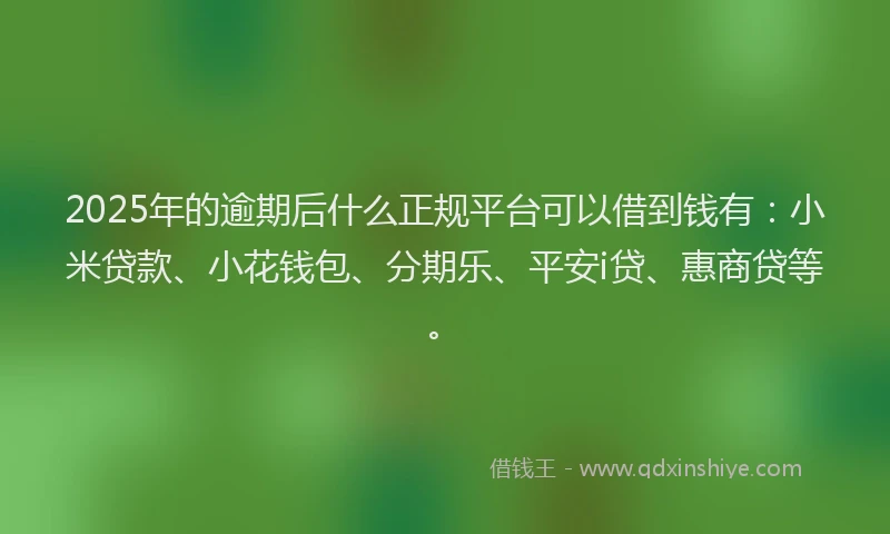 2025年的逾期后什么正规平台可以借到钱有：小米贷款、小花钱包、分期乐、平安i贷、惠商贷等。