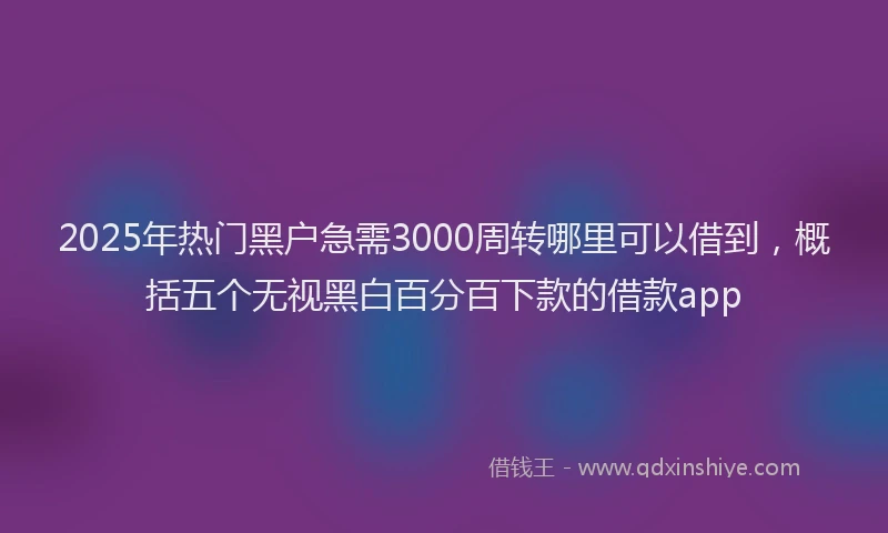 2025年热门黑户急需3000周转哪里可以借到，概括五个无视黑白百分百下款的借款app