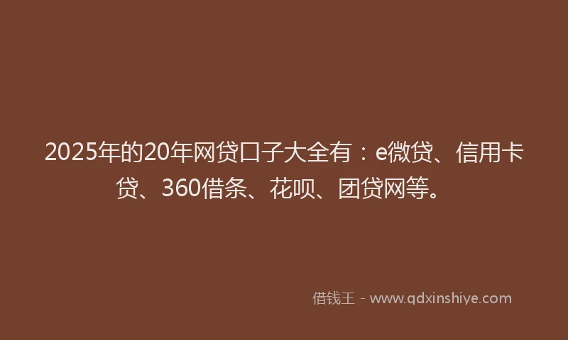 2025年的20年网贷口子大全有：e微贷、信用卡贷、360借条、花呗、团贷网等。