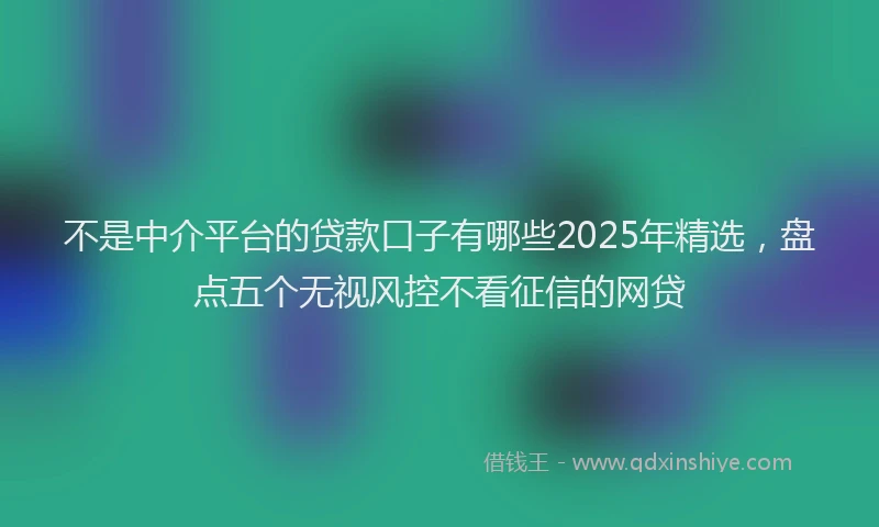 不是中介平台的贷款口子有哪些2025年精选，盘点五个无视风控不看征信的网贷