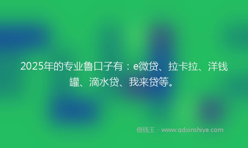 2025年的专业鲁口子有：e微贷、拉卡拉、洋钱罐、滴水贷、我来贷等。