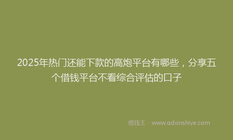 2025年热门还能下款的高炮平台有哪些，分享五个借钱平台不看综合评估的口子