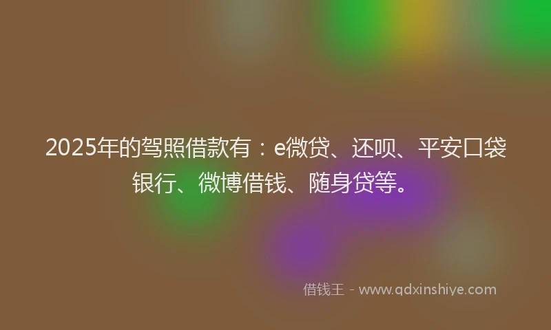 2025年的驾照借款有：e微贷、还呗、平安口袋银行、微博借钱、随身贷等。