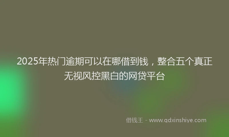 2025年热门逾期可以在哪借到钱，整合五个真正无视风控黑白的网贷平台
