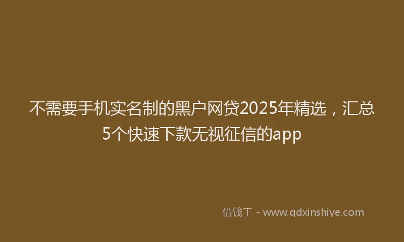 不需要手机实名制的黑户网贷2025年精选，汇总5个快速下款无视征信的app