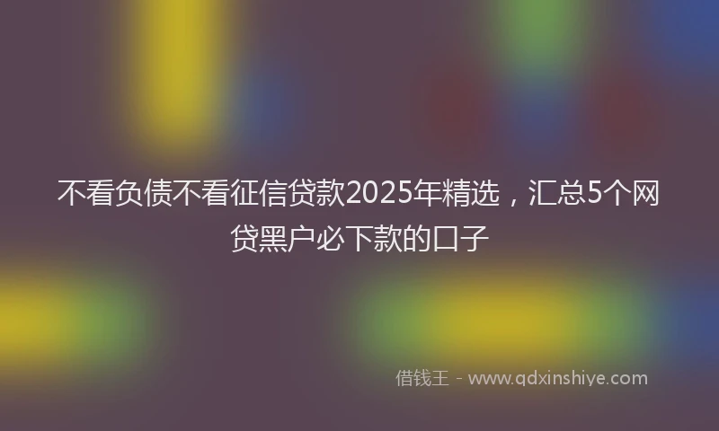 不看负债不看征信贷款2025年精选，汇总5个网贷黑户必下款的口子