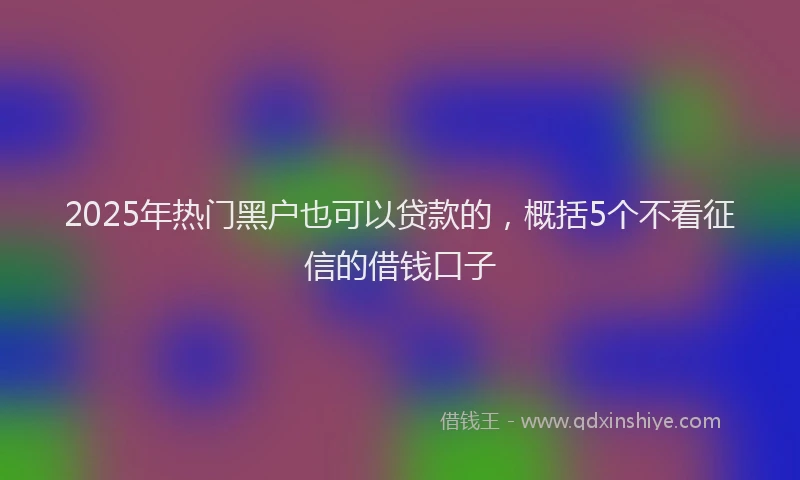 2025年热门黑户也可以贷款的，概括5个不看征信的借钱口子