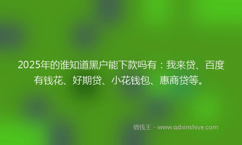 2025年的谁知道黑户能下款吗有：我来贷、百度有钱花、好期贷、小花钱包、惠商贷等。