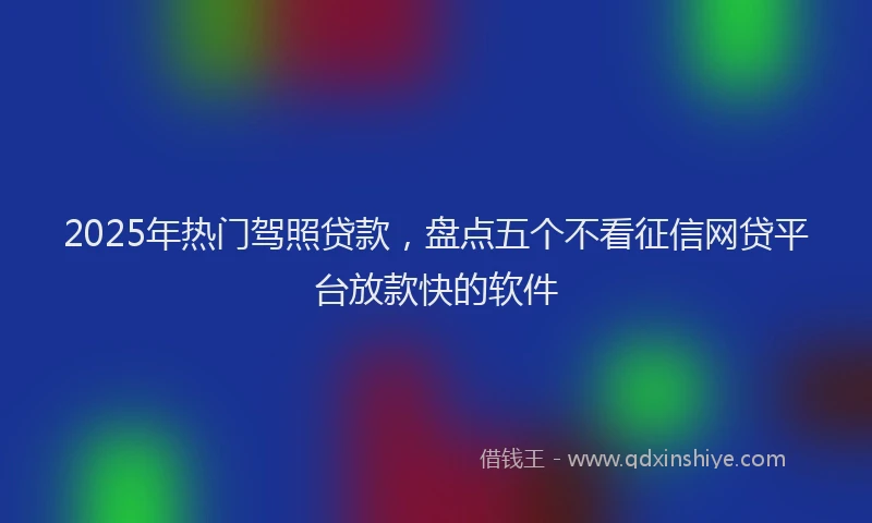 2025年热门驾照贷款，盘点五个不看征信网贷平台放款快的软件