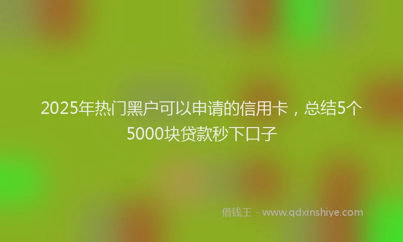 2025年热门黑户可以申请的信用卡，总结5个5000块贷款秒下口子