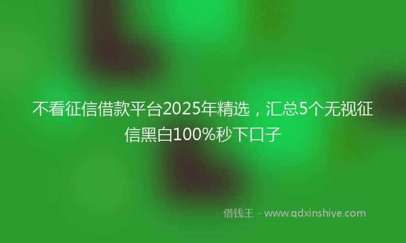 不看征信借款平台2025年精选，汇总5个无视征信黑白100%秒下口子