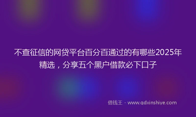 不查征信的网贷平台百分百通过的有哪些2025年精选，分享五个黑户借款必下口子