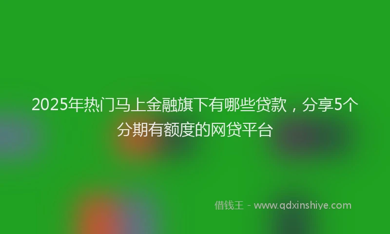 2025年热门马上金融旗下有哪些贷款，分享5个分期有额度的网贷平台