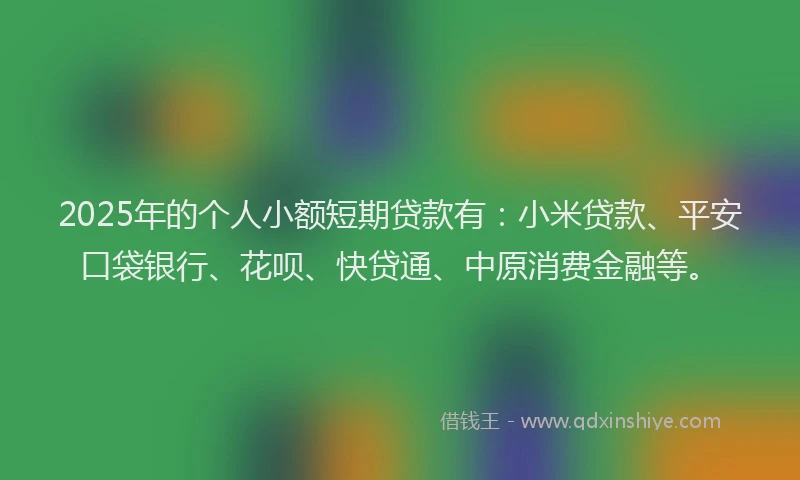 2025年的个人小额短期贷款有：小米贷款、平安口袋银行、花呗、快贷通、中原消费金融等。