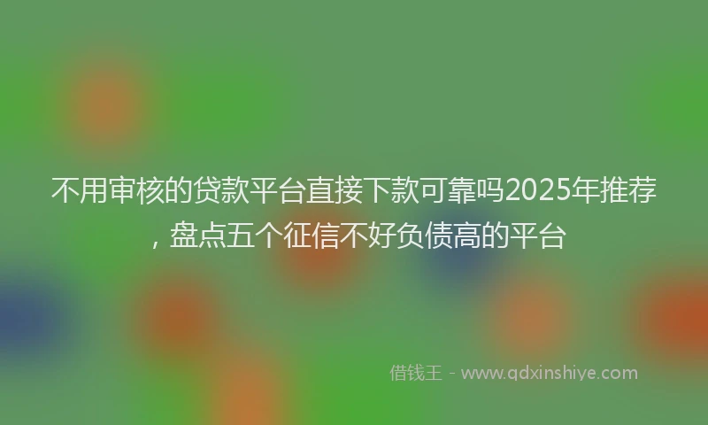 不用审核的贷款平台直接下款可靠吗2025年推荐，盘点五个征信不好负债高的平台